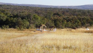 Das Interesse der Giraffen in Südafrika an Walter Kirschs ASH 25 M ist groß. 