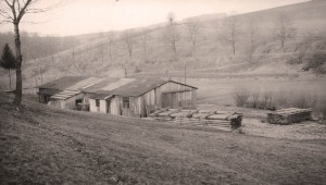 The old saw mill in the 1950s